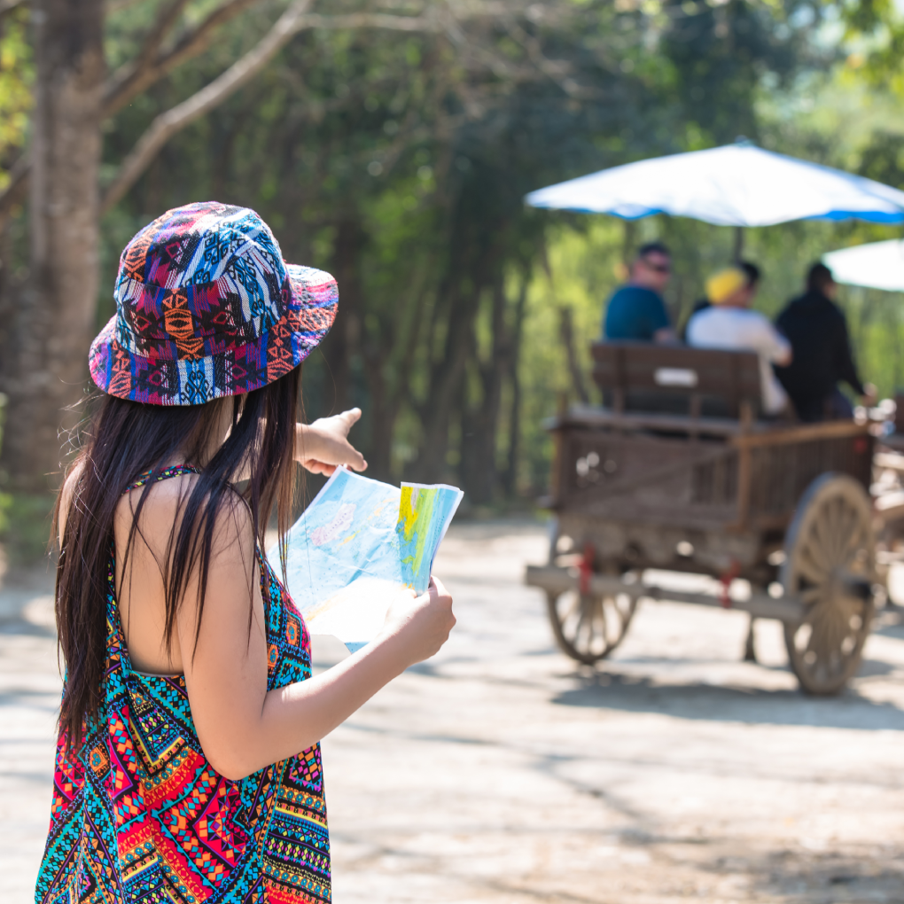 Tailor Made Trips