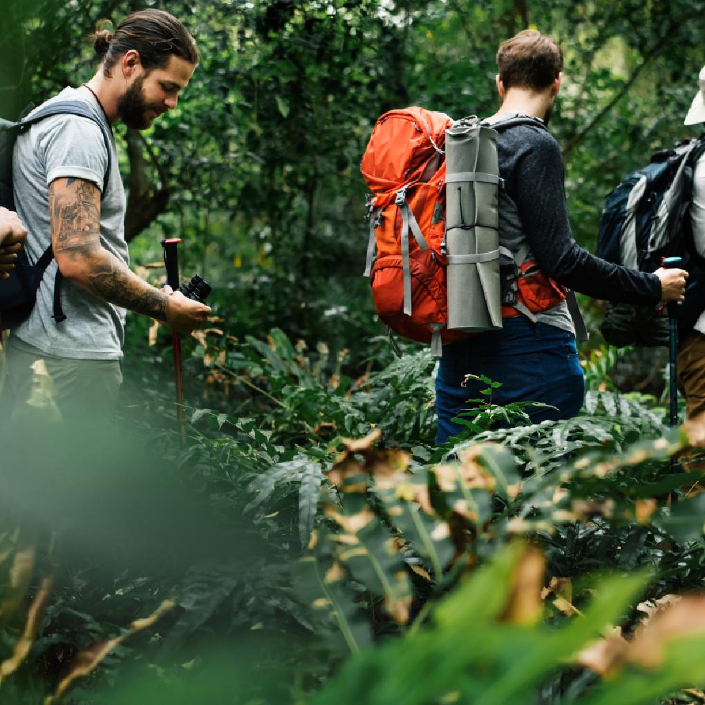 Tailor Made Trips