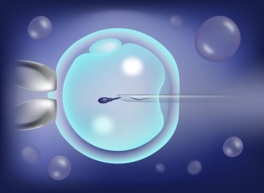 Intracytoplasmic,Sperm,Injection,,Icsi,,As,Part,Of,Ivf,Process